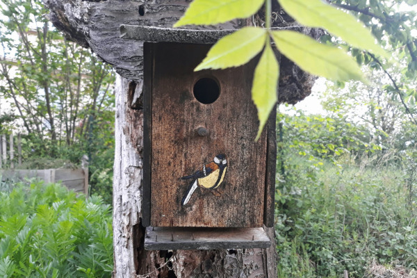 Nichoir à mésanges à la Cabane de la Drivonne © Isabelle Lecas